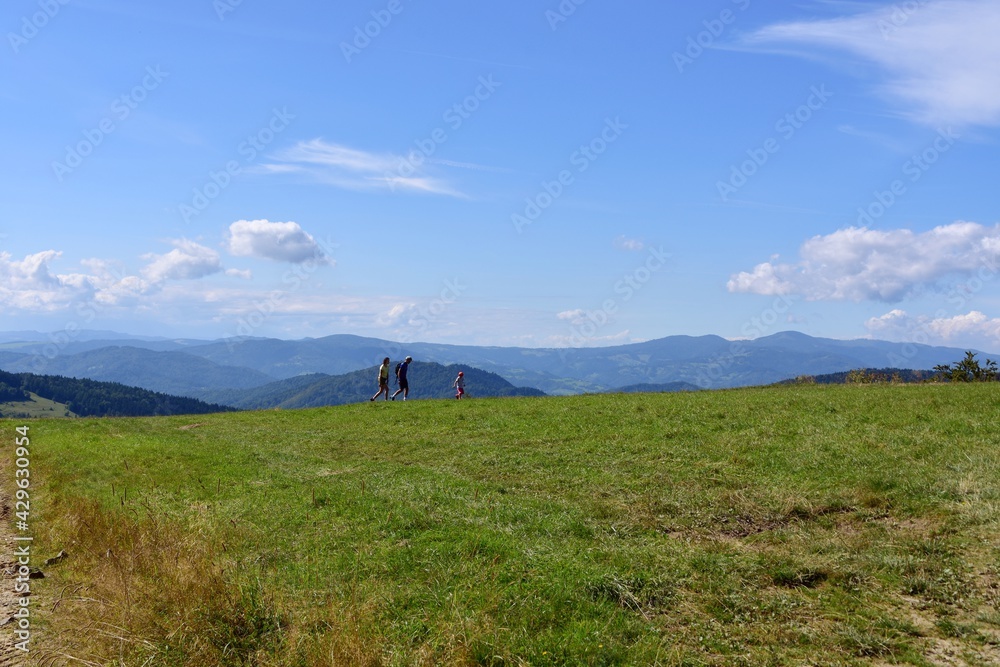 Muszyna Beskid Sądecki widok z okolicy Bacówki pod Wierchomlą Muszyna Beskid Sądecki widok z okolicy Bacówki pod Wierchomlą