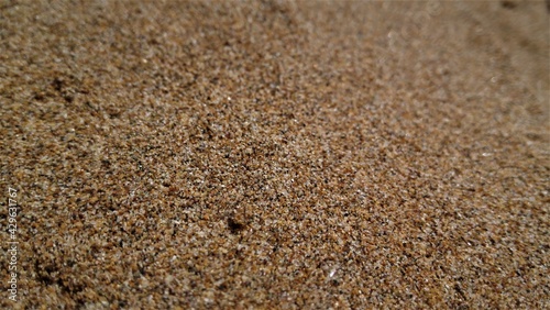 sand up close