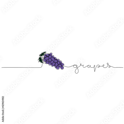 Continuous one line drawing of grapes with text Grapes. Modern minimalist art.