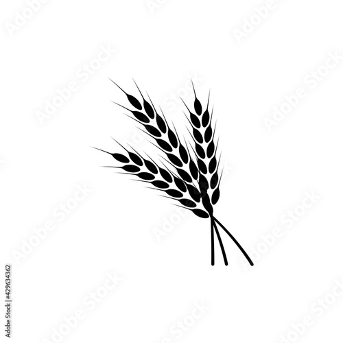 Ears of wheat. Logo. Vector illustration on white isolated background