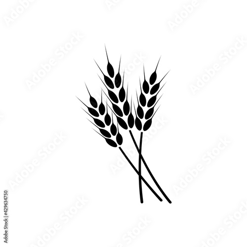 Ears of wheat. Logo. Vector illustration on white isolated background