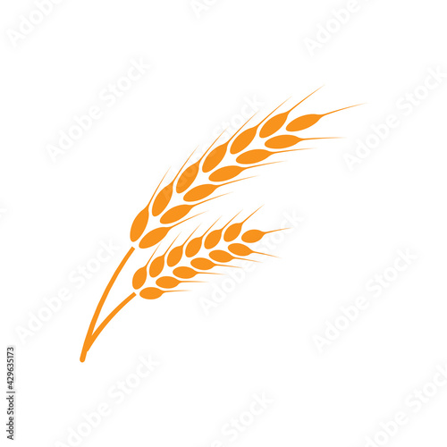 Ears of wheat. Logo. Vector illustration on white isolated background