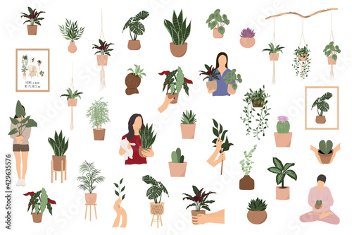 House Plants Vector Set, Indoor Plants collection, crazy plant lady bundle isolated on white background