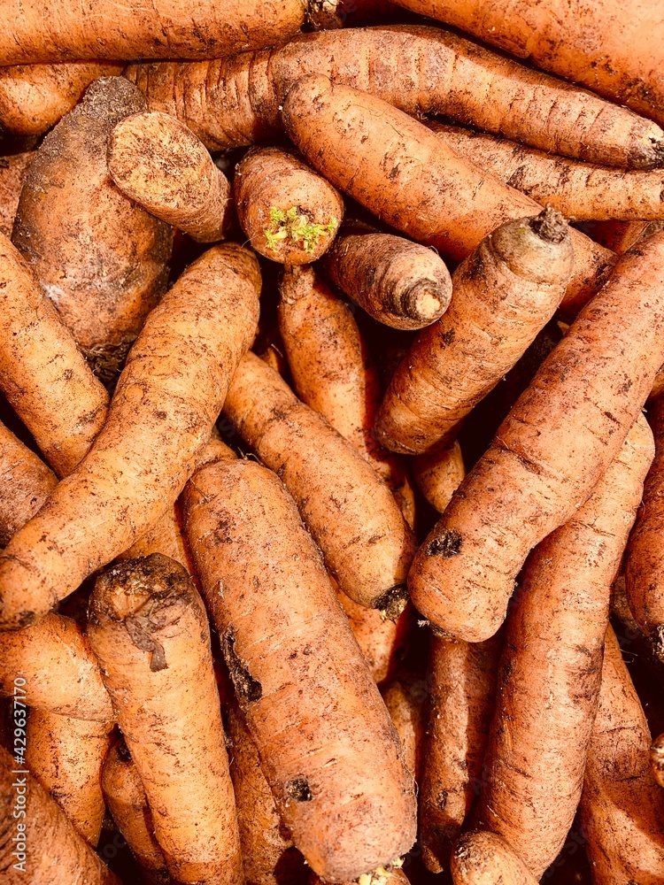 carrots on the market carrots on the market
