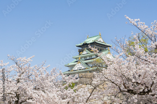 大阪城公園の桜と大阪城天守閣