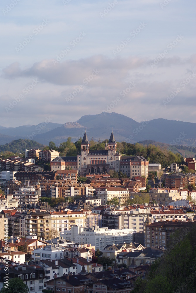 Naklejka premium SONY DSC