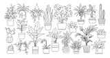 Houseplants. Vector set of outline drawings plants, succulents in pot. Indoor exotic flowers with stems and leaves. Monstera, ficus, pothos, yucca, dracaena, cacti, snake plant for home and interior