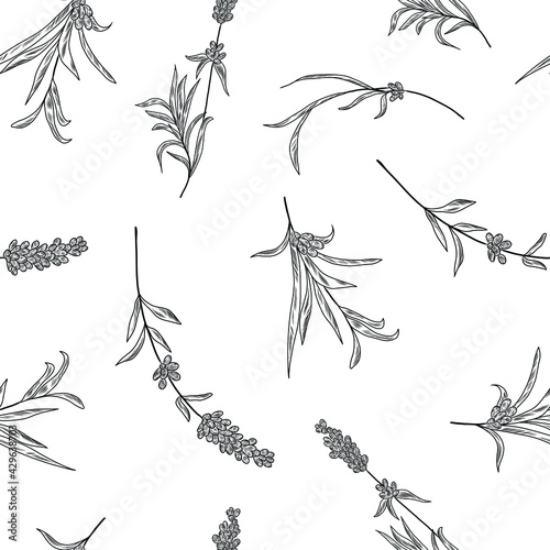 Hand drawn seamless texture with plants, herbal lavender flowers and branches, floral pattern, seamless background