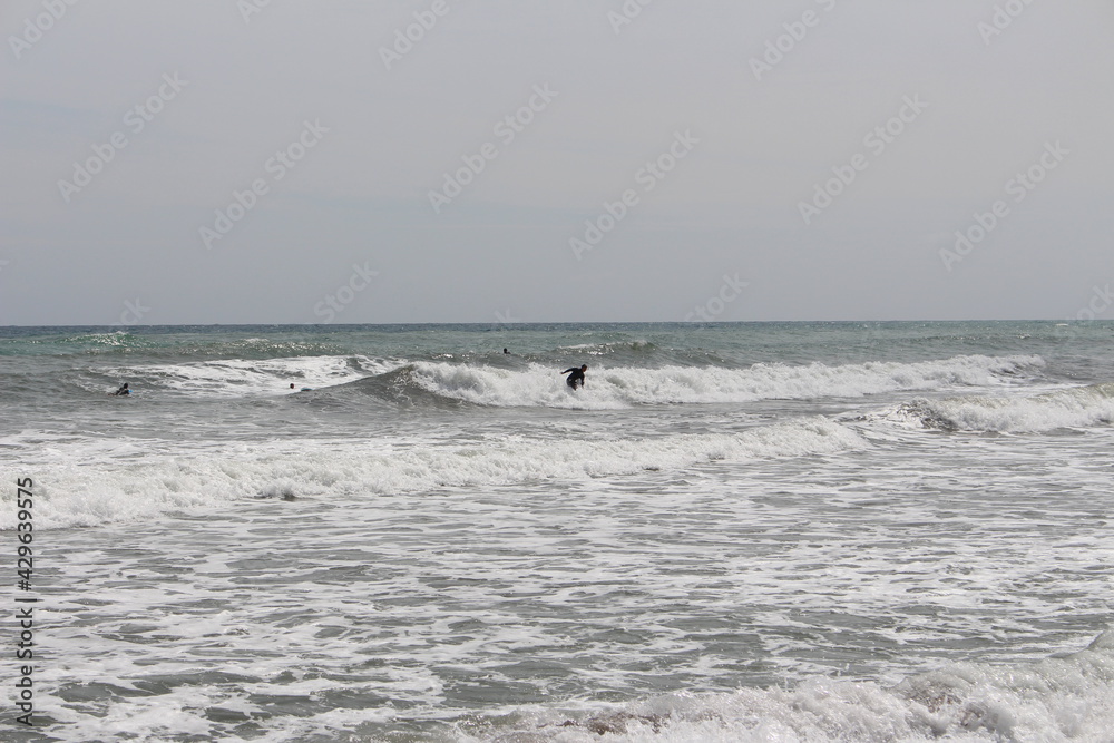 Surf Surf