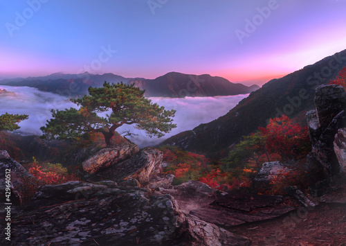 Waraksan Mountain National Park, covered with fog, morning in Waraksan National Park is also autumn.in South Korea © Noonan