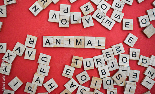 Animal word on wooden cube blocks on with letters all around. Concept