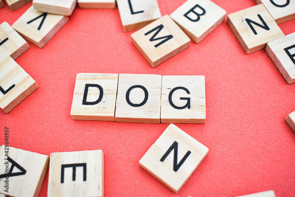 Dog word on wooden cube blocks on with letters all around. Concept Dog word on wooden cube blocks on with letters all around. Concept