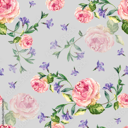 Flowers rose with flowers periwinkle drawing in watercolor on gray background. Floral seamless pattern.