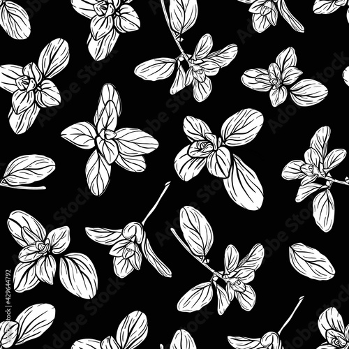  Basil Seamless Pattern. Italian herbs.A sprig of marjoram. Basil is a fragrant and fragrant seasoning. Hand-drawn illustration
