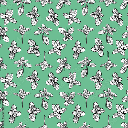  Basil Seamless Pattern. Italian herbs.A sprig of marjoram. Basil is a fragrant and fragrant seasoning. Hand-drawn illustration