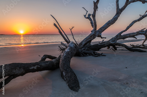 Sun setting on driftwood beach