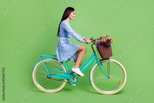 Fototapeta Naklejka Na Ścianę i Meble -  Full body profile photo of cheerful brown hair lady ride bicycle wear dress isolated on green background