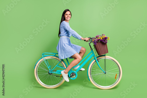 Fototapeta Naklejka Na Ścianę i Meble -  Full length profile photo of positive brown hair lady ride bicycle wear dress isolated on green background