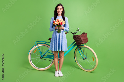 Fototapeta Naklejka Na Ścianę i Meble -  Photo of cute charming young woman dressed blue outfit holding bike bouquet smiling isolated green color background