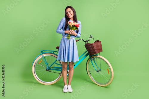 Fototapeta Naklejka Na Ścianę i Meble -  Photo of sweet dreamy young lady wear dotted clothes smiling holding bicycle fresh flowers isolated green color background