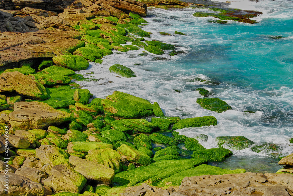 Waves washing over moss covered rocks at Tamarama Beach, New South Wales, Australia.