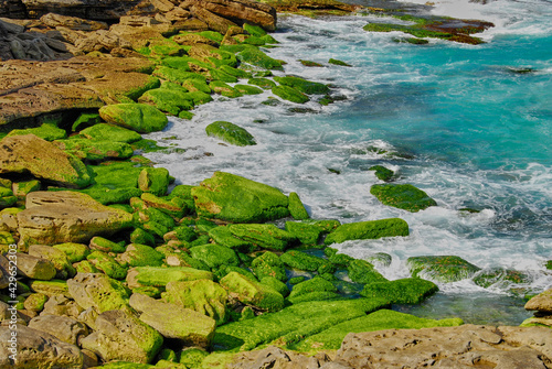 Waves washing over moss covered rocks at Tamarama Beach, New South Wales, Australia.