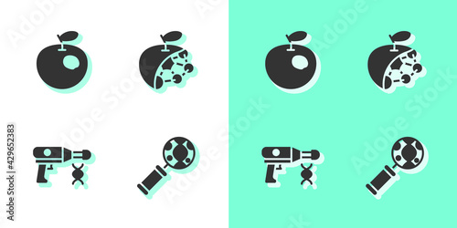 Set DNA research, search, Genetically modified apple, Transfer liquid gun and Biological structure icon. Vector