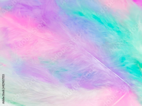 Beautiful abstract light pink feathers on colorful background, colorful feather frame on green purple and blue texture pattern, pink background, love theme wallpaper, valentines day, white gradient