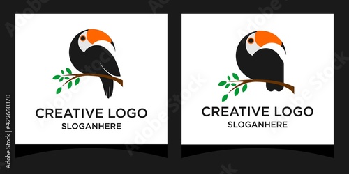 toucan bird logo