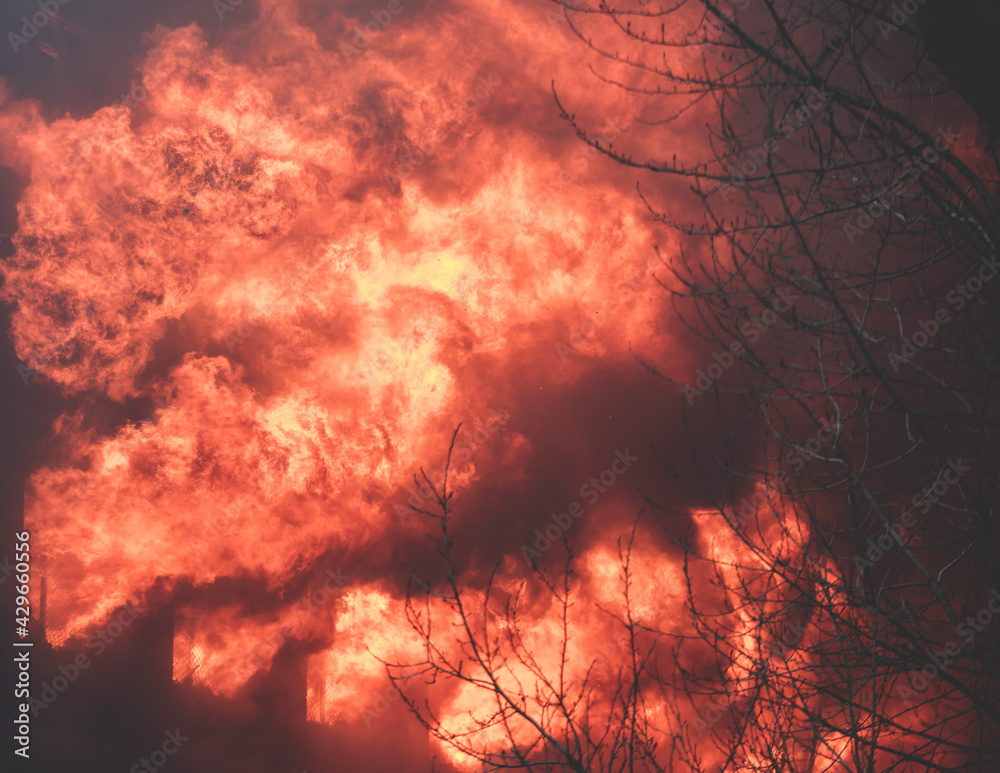Massive large major wildfire, bush blaze, a forest fire with burning trees, flame and smoke