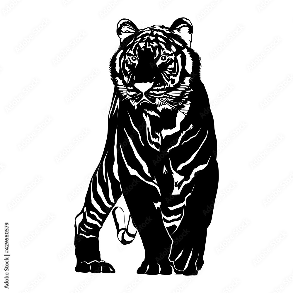 Obraz premium tiger silhouette, black and white tiger