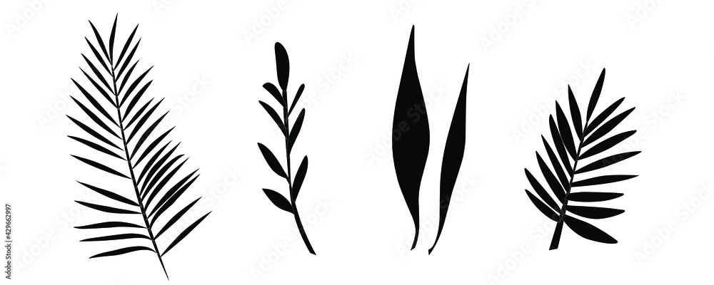 tropical leaves silhouette tropical leaves silhouette