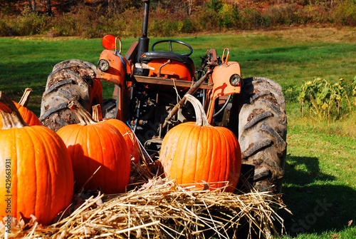 Pumpkins take an autumn tractor ride on a farm in New England photo