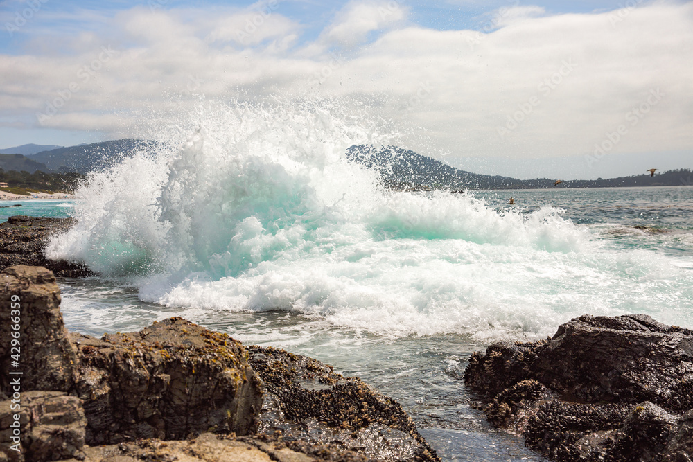 The Pacific Ocean coast in the city of Monterey in California. United States of America. Beautiful beach on a sunny day. Ocean landscape.