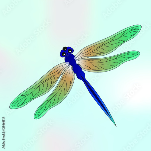 dragonfly