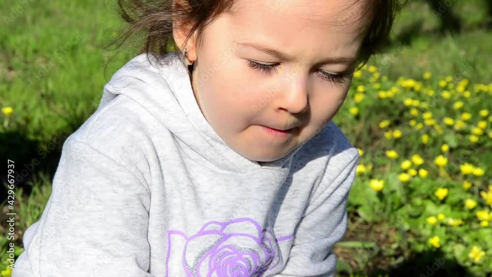 Little girl collects a bouquet of spring flowers. Flowers in children's hands close-up. The child sniffs spring flowers. Yellow flowers in the hands of a child. The child plays with flowers. Little girl collects a bouquet of spring flowers. Flowers in children's hands close-up. The child sniffs spring flowers. Yellow flowers in the hands of a child. The child plays with flowers.