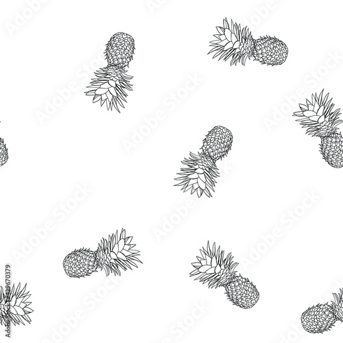 Black and white tropical pattern of hand-drawn pineapples. Summer fruit Doodle on black background. © Vlada Balabushka