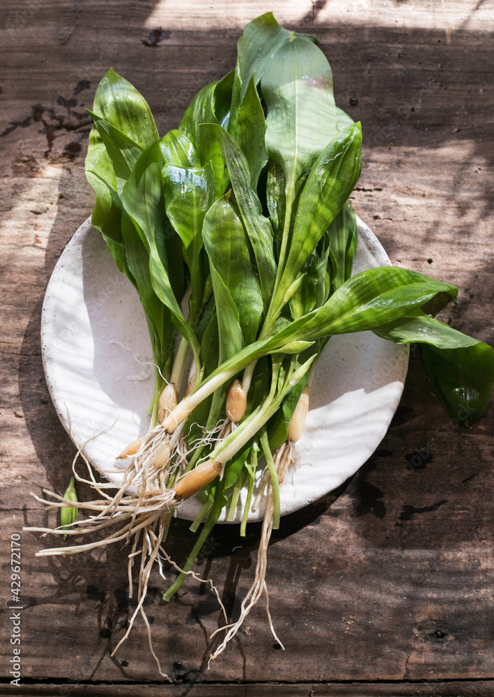 Raw organic green ramps or wild garlic Stock Photo Adobe Stock