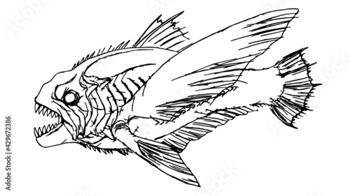 Obraz na plátně hand drawn fish