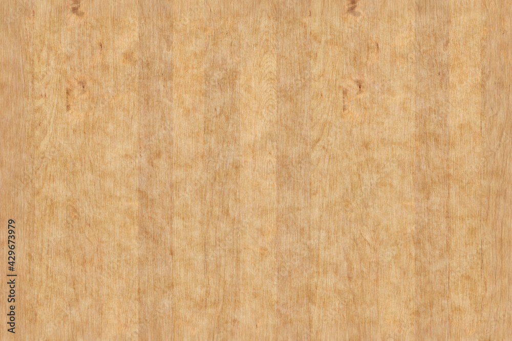 birch wood timber background texture surface backdrop birch wood timber background texture surface backdrop
