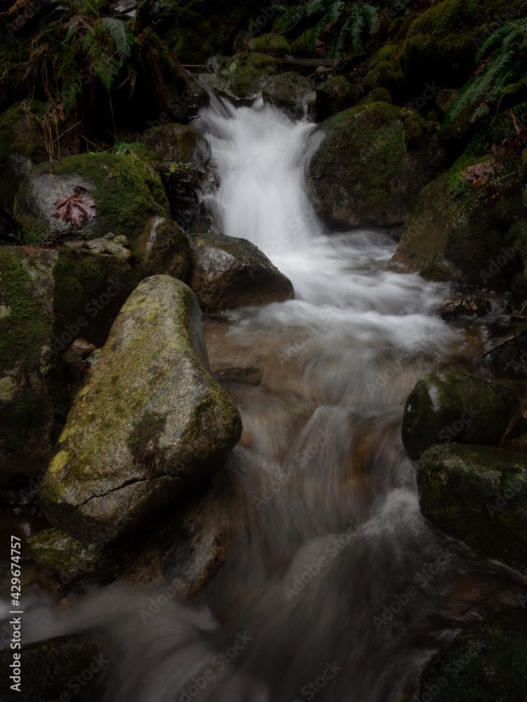 Fototapeta premium Woodlands Small Waterfall