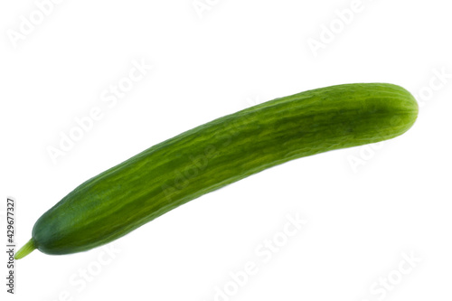 A long green cucumber on a white background. Isolate.