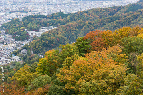 紅葉と町・京都