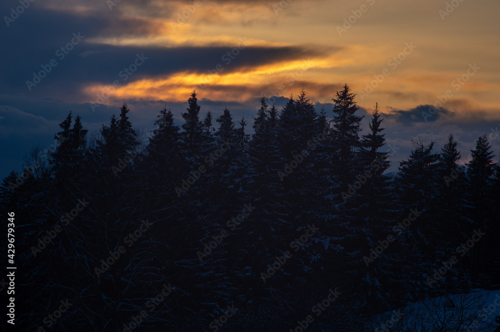 Silhouettes of trees in winter in the mountains against the background of clouds at sunset