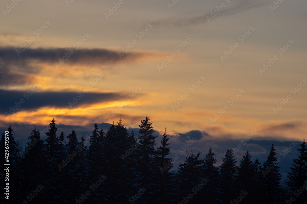 Obraz premium Silhouettes of trees in winter in the mountains against the background of clouds at sunset