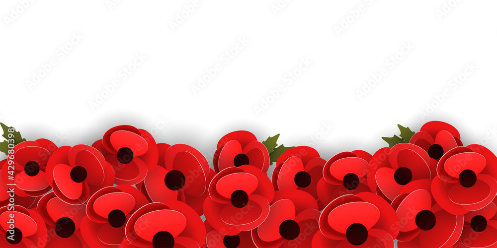 Horizontal banner template with red poppy flowers on a white background. Remembrance day concept. Vector illustration - obrazy, fototapety, plakaty 