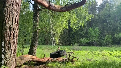 Swinging homemade tire on a tree