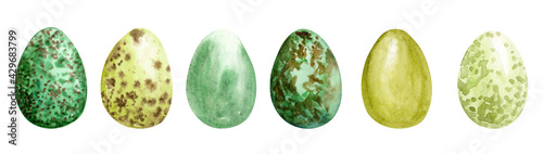 Watercolor different wild birds' eggs. Easter egg. Green birds eggs set