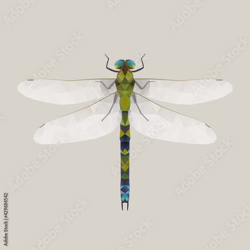 illustration of dragonfly