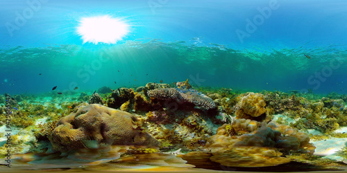 Colourful tropical coral reef. Scene reef. Seascape under water. Philippines. Virtual Reality 360.